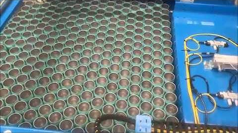 Codi Craft Canning System - Kaiju! Beer Production Run