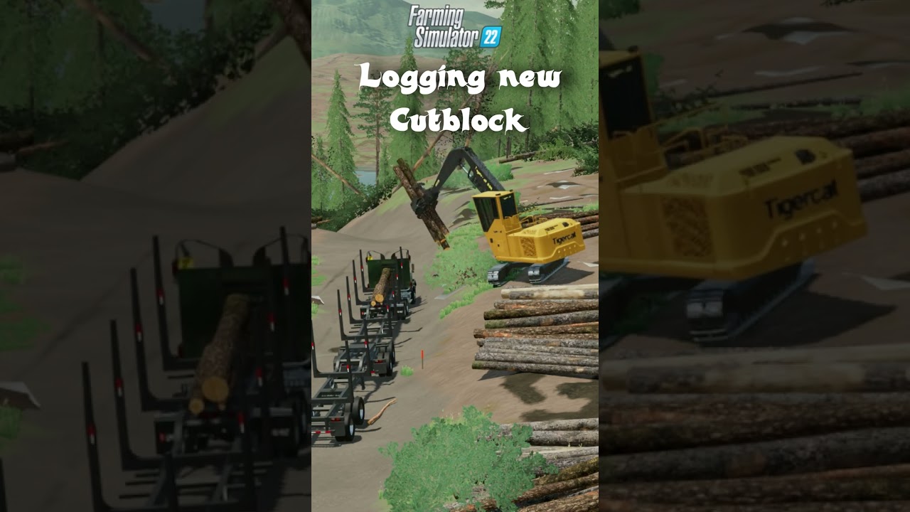 Logging new cutblock 