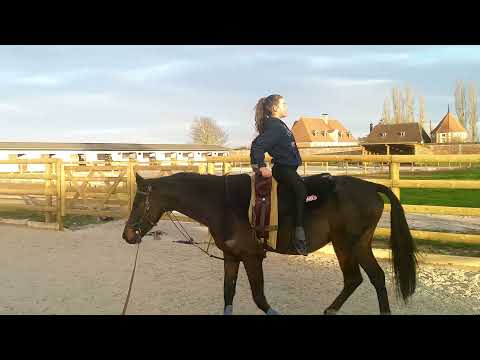 galop2 de voltige
