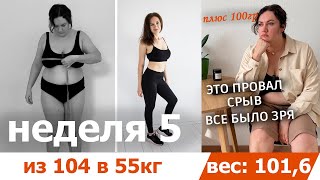 видео: Минус ушел. Привес. Срыв. Все было зря картинка: Минус ушел. Привес. Срыв. Все было зря