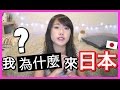 我為什麼來日本？｜首次公開的過去｜MaoMaoTV
