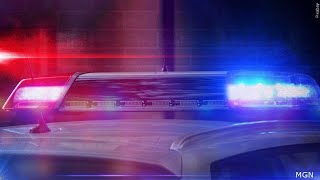 Man arrested after allegedly damaging Howell police cars with axe