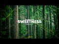 SWEETNESS Riddim | Reggae Beat Instrumental | Reggae Roots romantic Love | 2023 | Alann Ulises