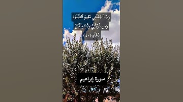سورة إبراهيم ❤️رب اجعلني مقيم الصلاة ومن ذريتي ربنا وتقبل دعاء❤️عبدالباسط عبدالصمد رحمة ❤️