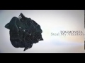 Tokimonsta Steal My Attention mp3