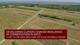 Famous Developing Climate-Change Resilience in Conservation Plants Wealth