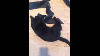 Celebrity #OliviaCulpo via #Snapchat oliviaculpo 23-11-15 Wealth