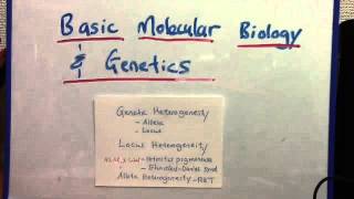 Genetic heterogeneity (locus and allelic)