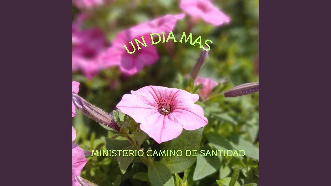 Un Dia Mas