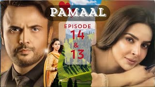 Pamaal Drama Ep 14 &amp; 13 Review‼️Controversial take on Malkah 🤬