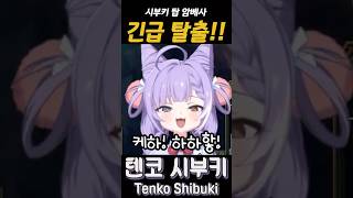 그 표정