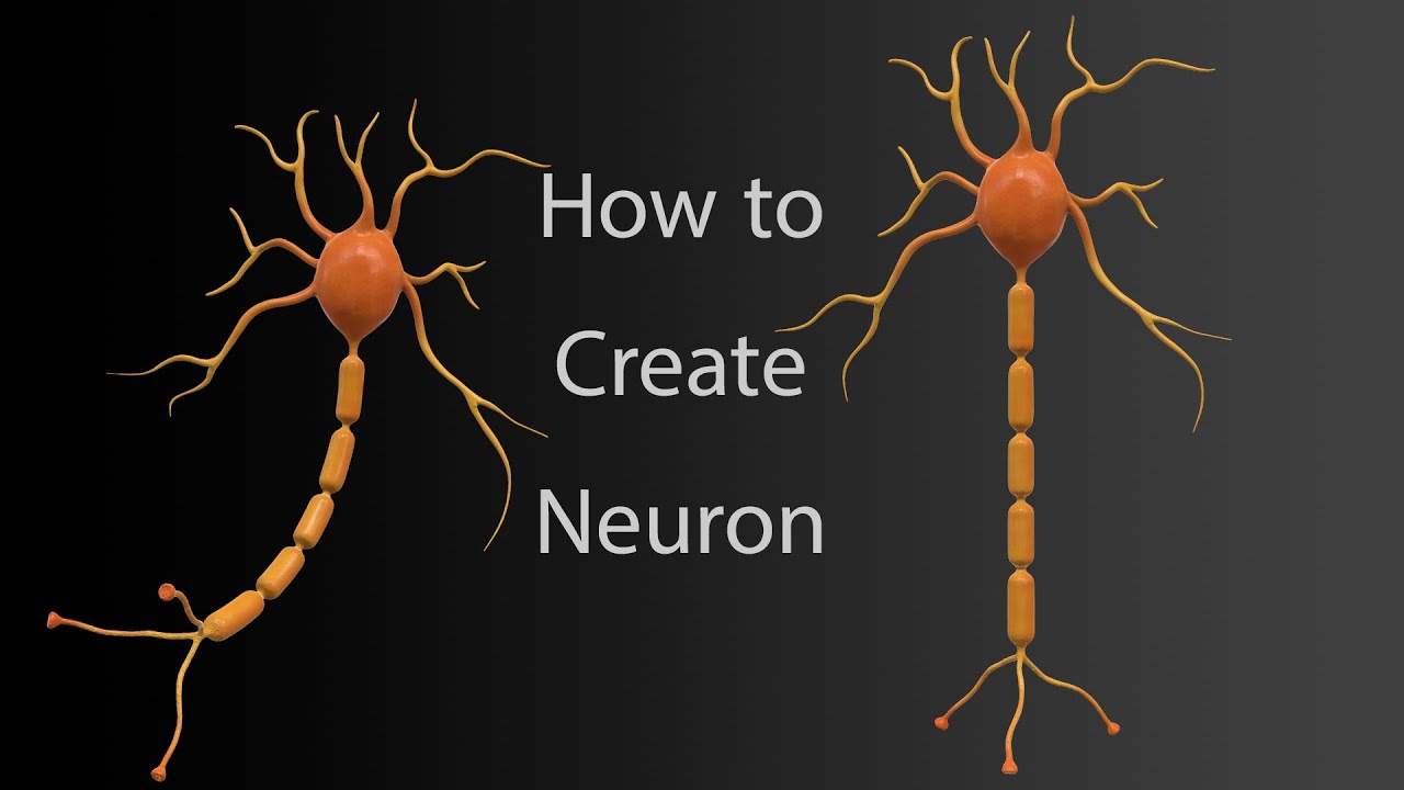 how to create neuron 3d modeling in zbrush