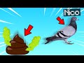 NICO, DIVENTA UN UCCELLO E FA LA CACCA!