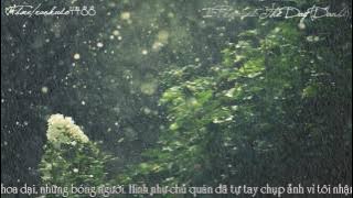 I Proured The Day (DanBi) || Wait For Rain...