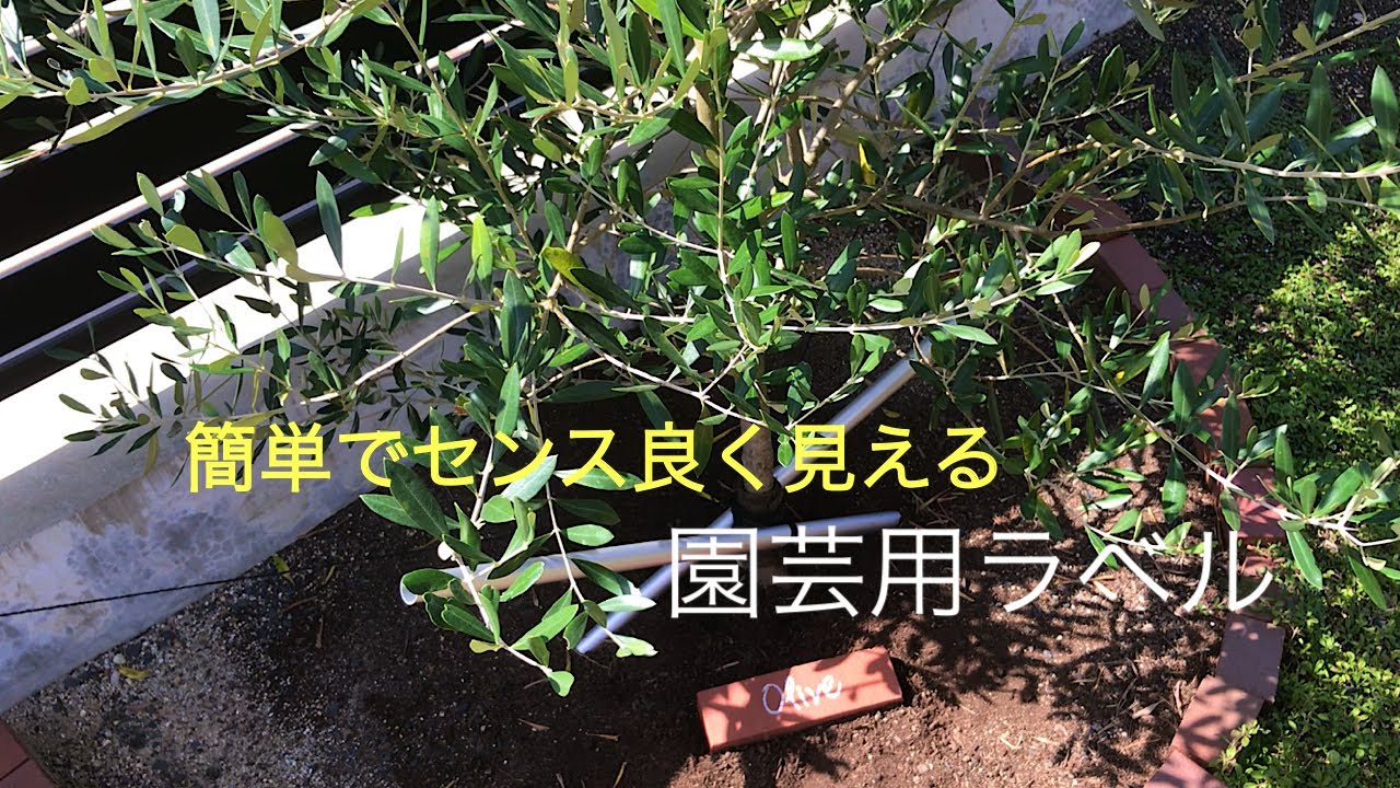 植物の名前すぐ忘れるのにどんどん買っては植えてしまいます/園芸用