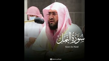 🎤 فضيلة الشيخ د. #بندر_بليلة | من صلاة الفجر ١٢ شعبان ١٤٤٢ | ما تيسر من سورة النمل