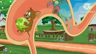 Tom & Jerry Jerry Hit Tom Tom And Jerry Funny Seen