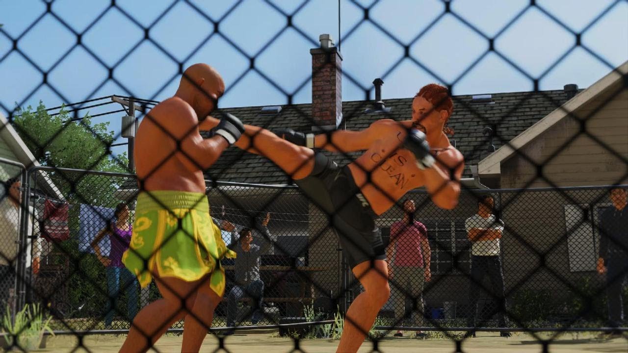 GROUND BEEF MMA | Professional Streaker fights Mailman from the Bronx ...
