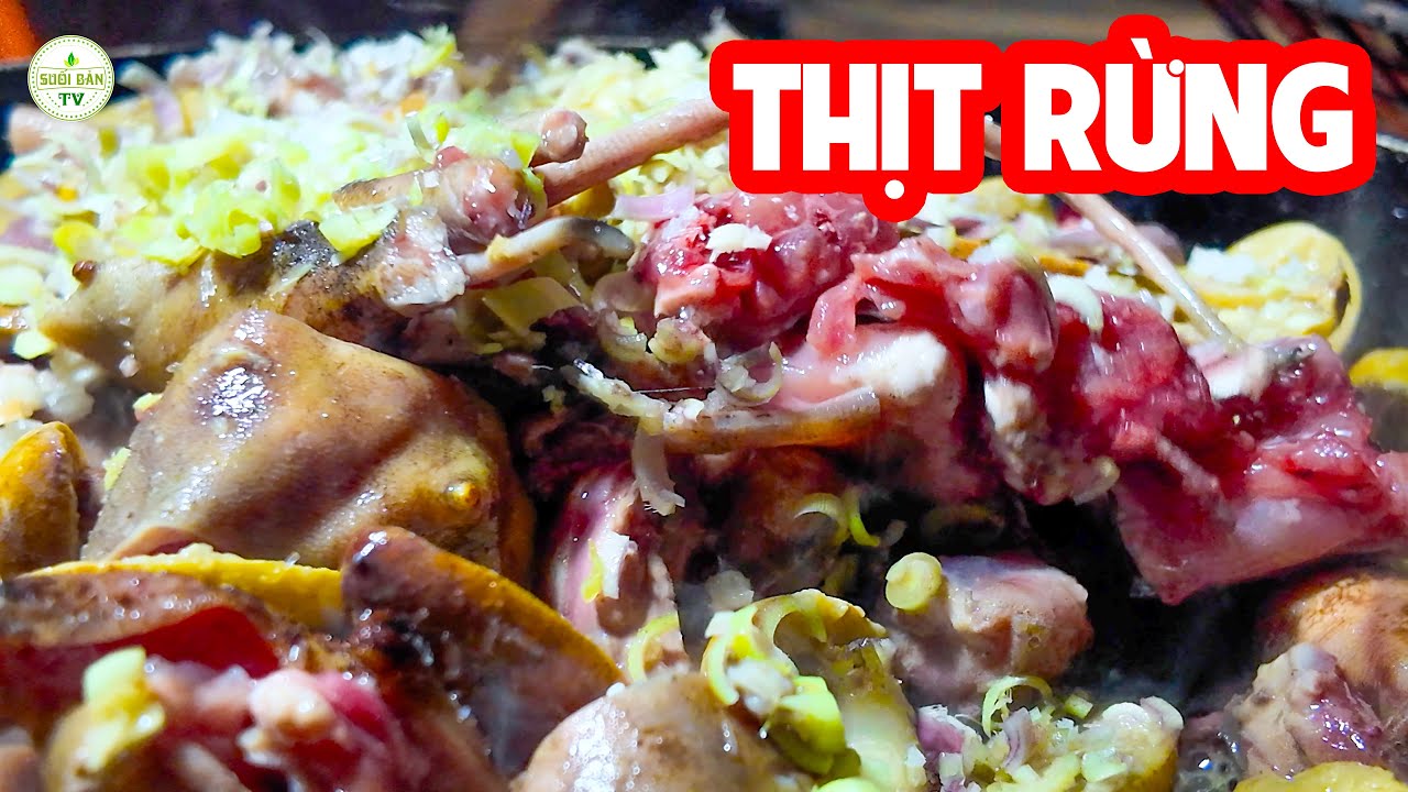 Một Ngày Thăm Bẫy Với Món Thịt Rừng Xào Quả Chám Lạ Miệng  ✧ Suối Bản Tv