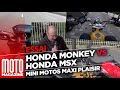Honda Monkey VS Honda MSX - mini motos, maxi plaisir の動画、YouTube動画。
