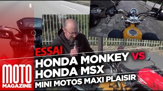 Honda Monkey VS Honda MSX - mini bikes, maximum fun
