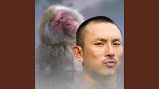 Famous Monkey Never Cramps Net Worth