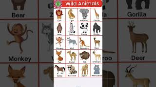 20 wild animals name in english #youtubeshorts #wildanimals #wildanimalsnames #animals