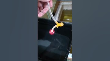 Xử lý nước máy nuôi cá đơn giản #shorts #bettafish #guppy #cabaymau #betta #thuysinh #fish #aquarium