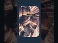 Let go.  #yt #ytshorts #youtube #shortvideos