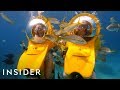 Riding In Personal Submarines + Swimming With Stingrays | Travel Dares S1 Ep 8