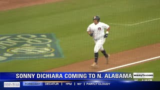 Report: Auburn's Sonny DiChiara headed to Rocket City Trash Pandas