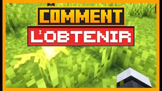 COMMENT TRANSFORMER L'ALLÉE DORÉE EN MAGE DE L'ÂME DANS MINECRAFT COMPANIONS