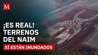 This is what the NAIM looks like today: from a canceled airport to a living ecosystem