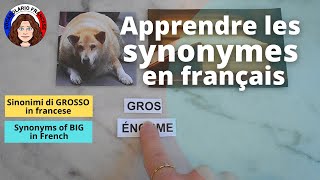 Learn the synonyms of BIG (gros) in French - video 70 - FR/IT/EN screenshot 3