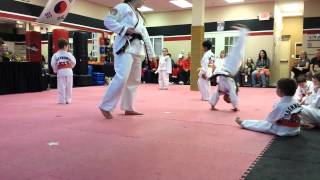 ATA tiny tiger's Taekwondo testing