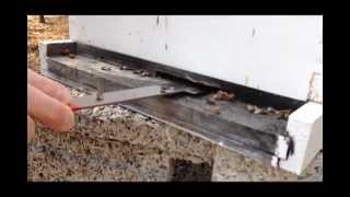 Overwintered Honeybees - March 2013