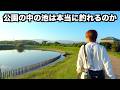 公園の中にある池めっちゃ釣れる説。