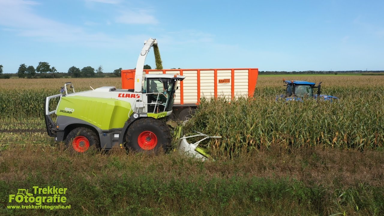 Maïsoogst 2020 Loonbedrijf Lolkema van start in de maïsoogst van 2020