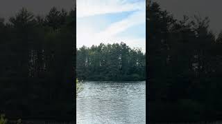 4k Lake in Spring E108: Buzzing & Wind Singing 27s #Mosquitos #Sunset #Lake #Wildlife #Canada