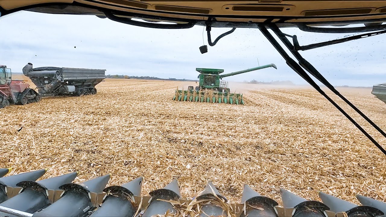 Последние 12 рядов закончились катастрофой!! #27