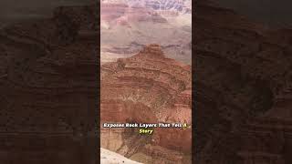 Grand Canyon Chronicles: Earth's Timeless Tapestry. #NatureSculpture #ColoradoRiverLegacy.