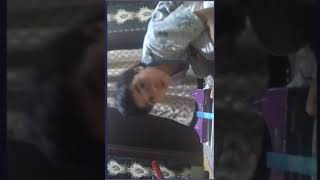 Science Unit 2 Performance Task--Zaki