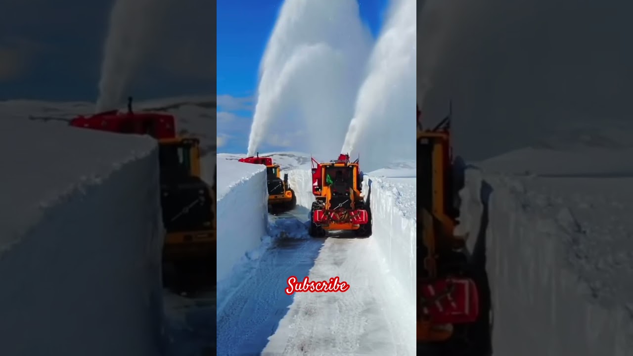 Wondering how much this job pay.