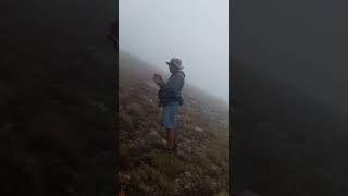 Tecer Dagında Kaybolacaktık Resimi