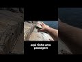 Encontrei as Pinturas rupestres #vlog #viagem #canada #paravocê