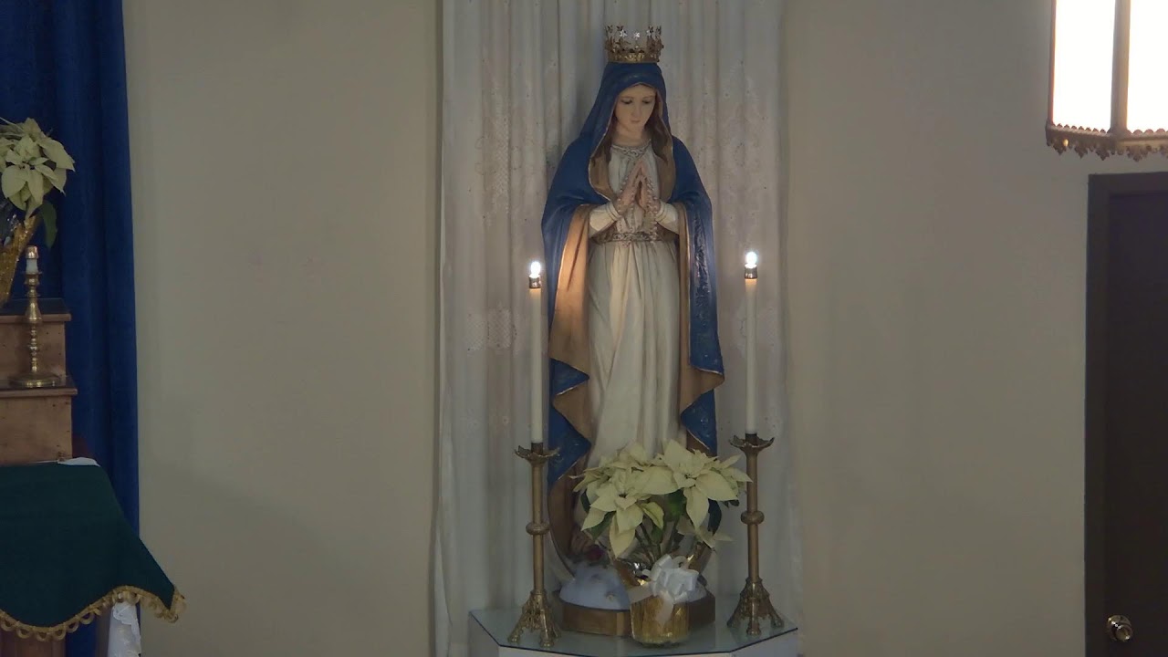 Rosary, February 12, 2025