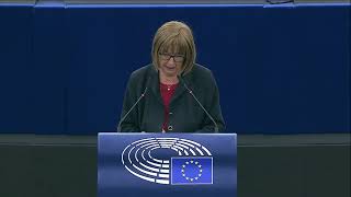Intervento in Plenaria di Camilla Laureti, europarlamentare del Partito democratico, sull'attuazione delle disposizioni del trattato