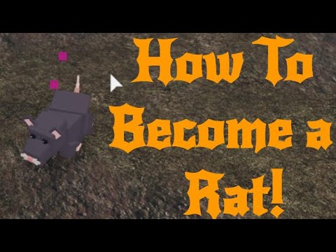 How To Become A Rat In Roblox Islands Skyblox Youtube - how to make roblox rat