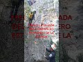 ASEGURAR RÁPEL DESDE ABAJO (BOMBERO)