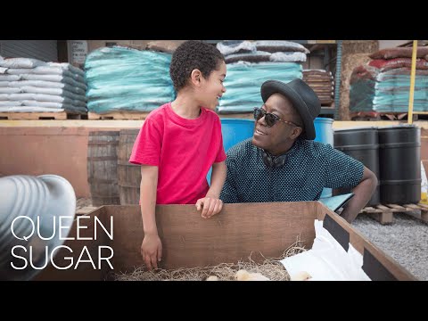 Cheryl dunye’s journey from the watermelon woman to queen sugar | queen sugar | own